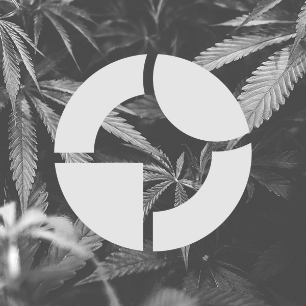 about us, hemp image with canhify logo